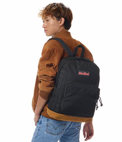 STRANGER THINGS Right Pack Ex Mike's JanSport